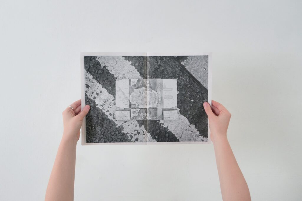 Middle spread of photographic-newspaper with black and white image of a box. On the front of the box an image of a meal with the text "giant chicken escalope"